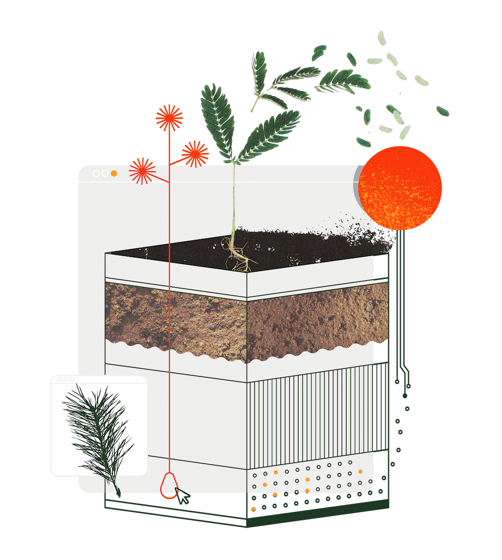 A digital collage of a seedling growing in a cross-sectioned soil block, surrounded by abstract elements. The soil block is divided into distinct layers, with a small green seedling sprouting from the top. Floating seeds, a red sun-like shape, and digital interface elements such as browser windows and circuit-like lines are incorporated into the design, blending nature and technology./Designed by Carly Berry - https:/carlyberry.design/