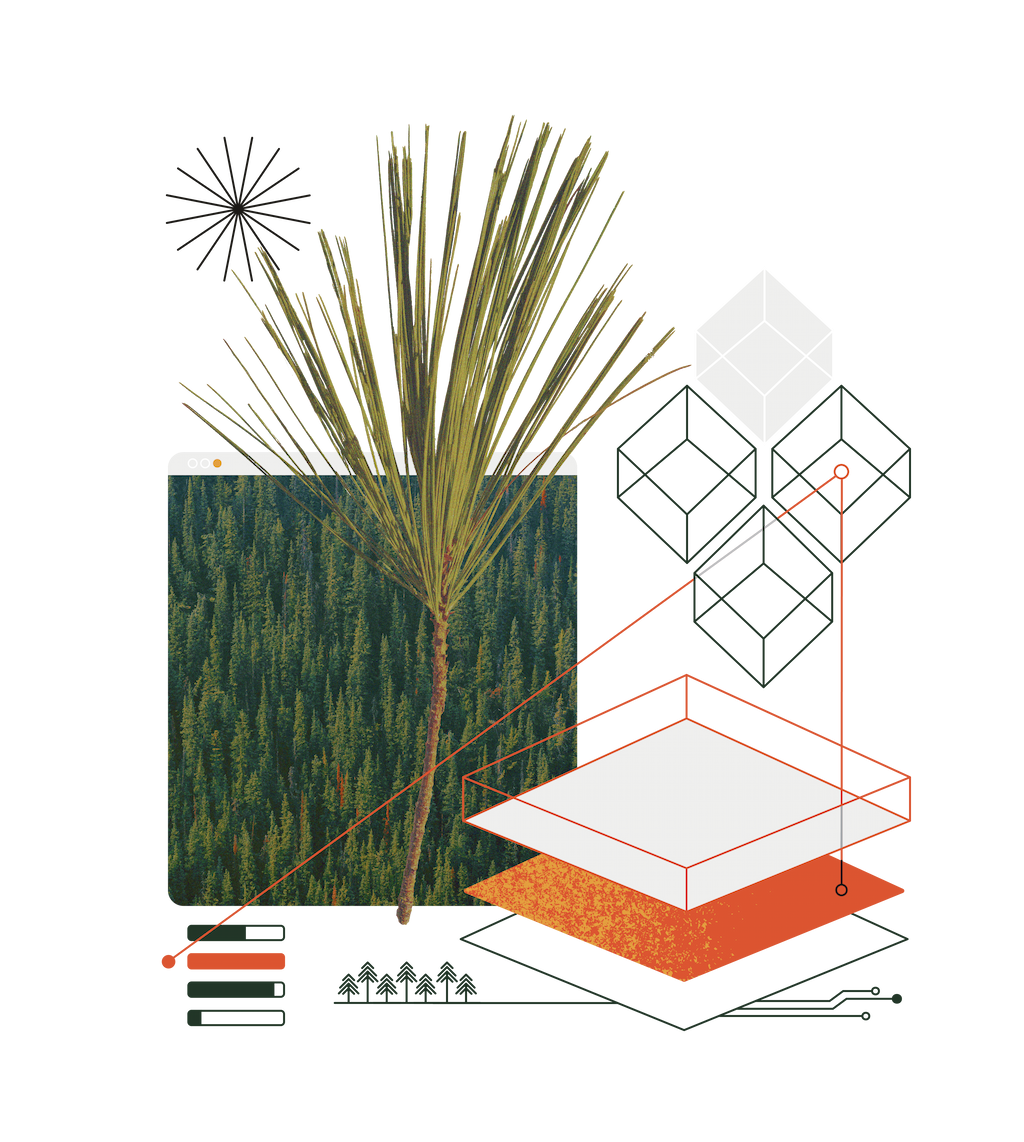 A digital collage featuring a pine tree branch emerging from a browser window displaying a dense forest. The composition includes geometric wireframe cubes, layered abstract shapes, circuit-like lines, and data visualization elements, blending themes of nature, technology, and structured design./Designed by Carly Berry - https:/carlyberry.design/
